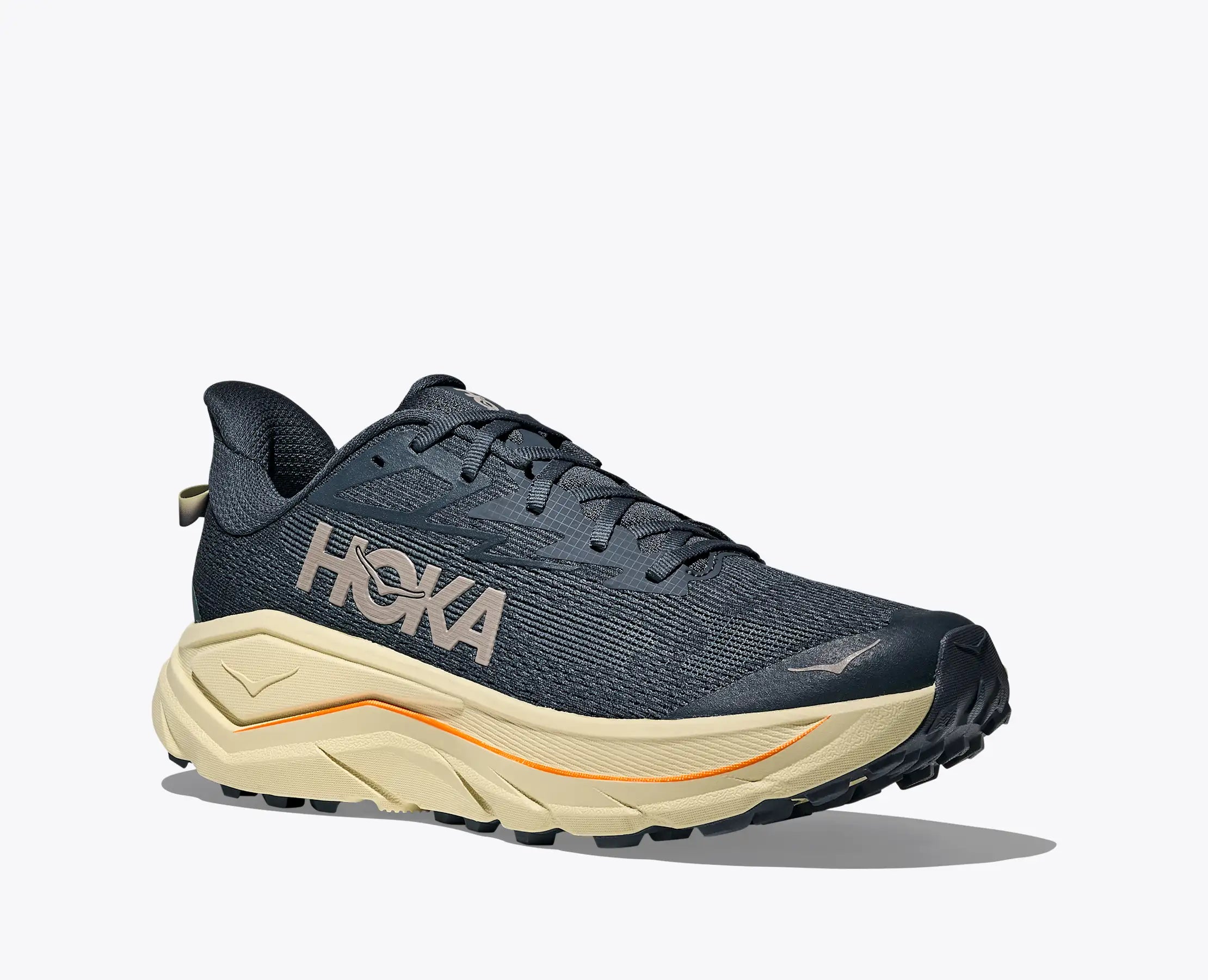 Scarpe Challenger 8 Uomo Faded Navy/Pampass Grass