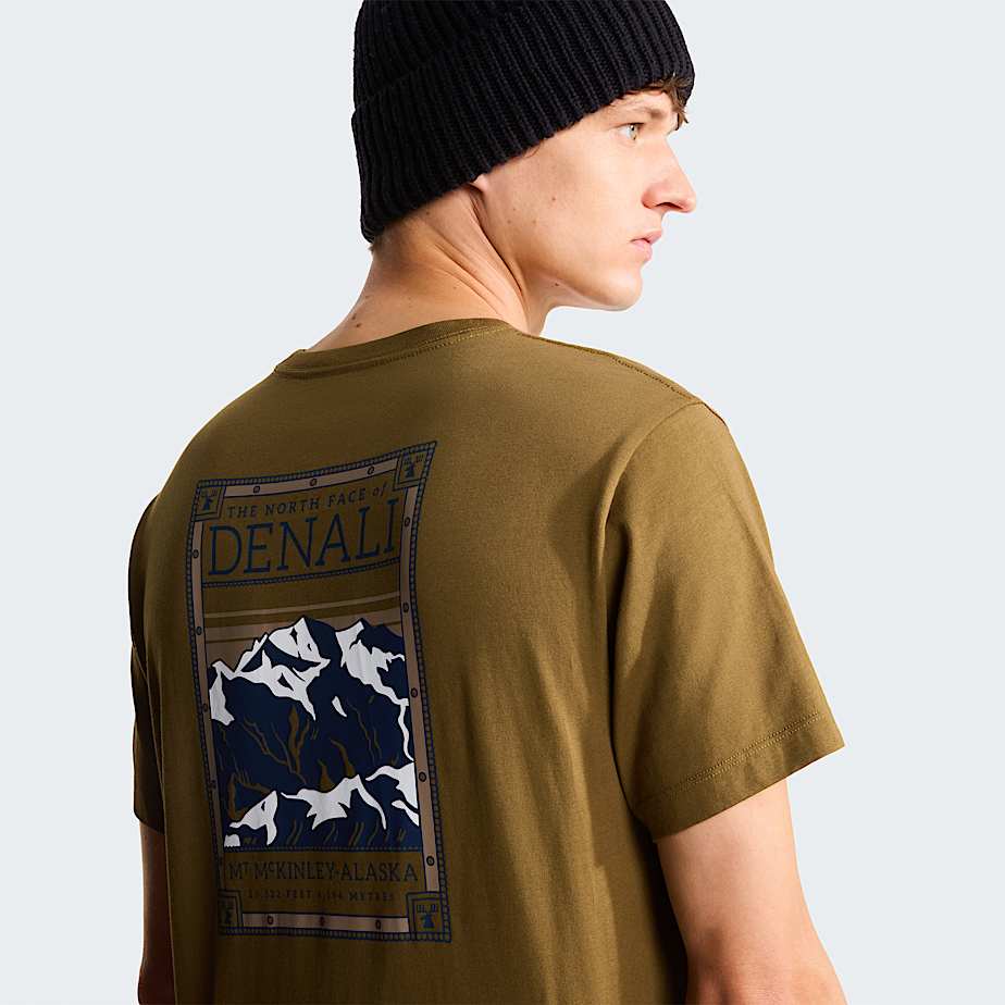 T-shirt North Faces Denali Homme Caraway Seed