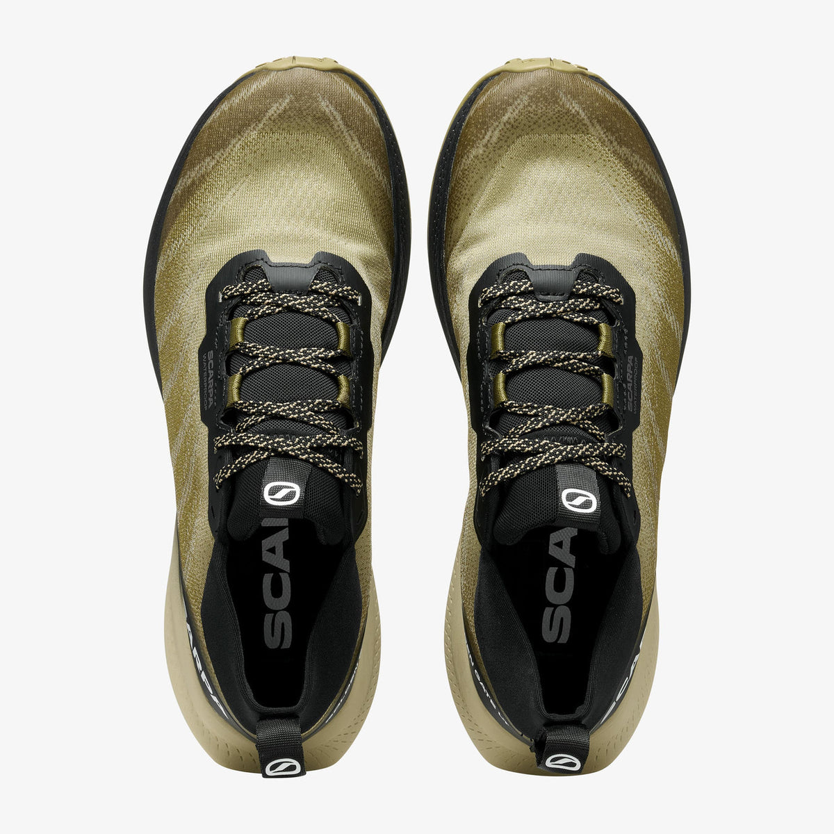 Scarpe Golden Gate LT WP Uomo Black/Sage