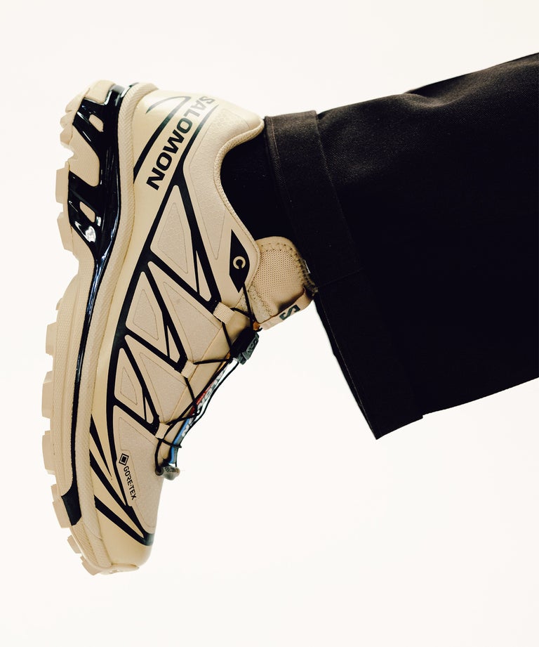 Scarpe XT-6 GTX Safari/Safari