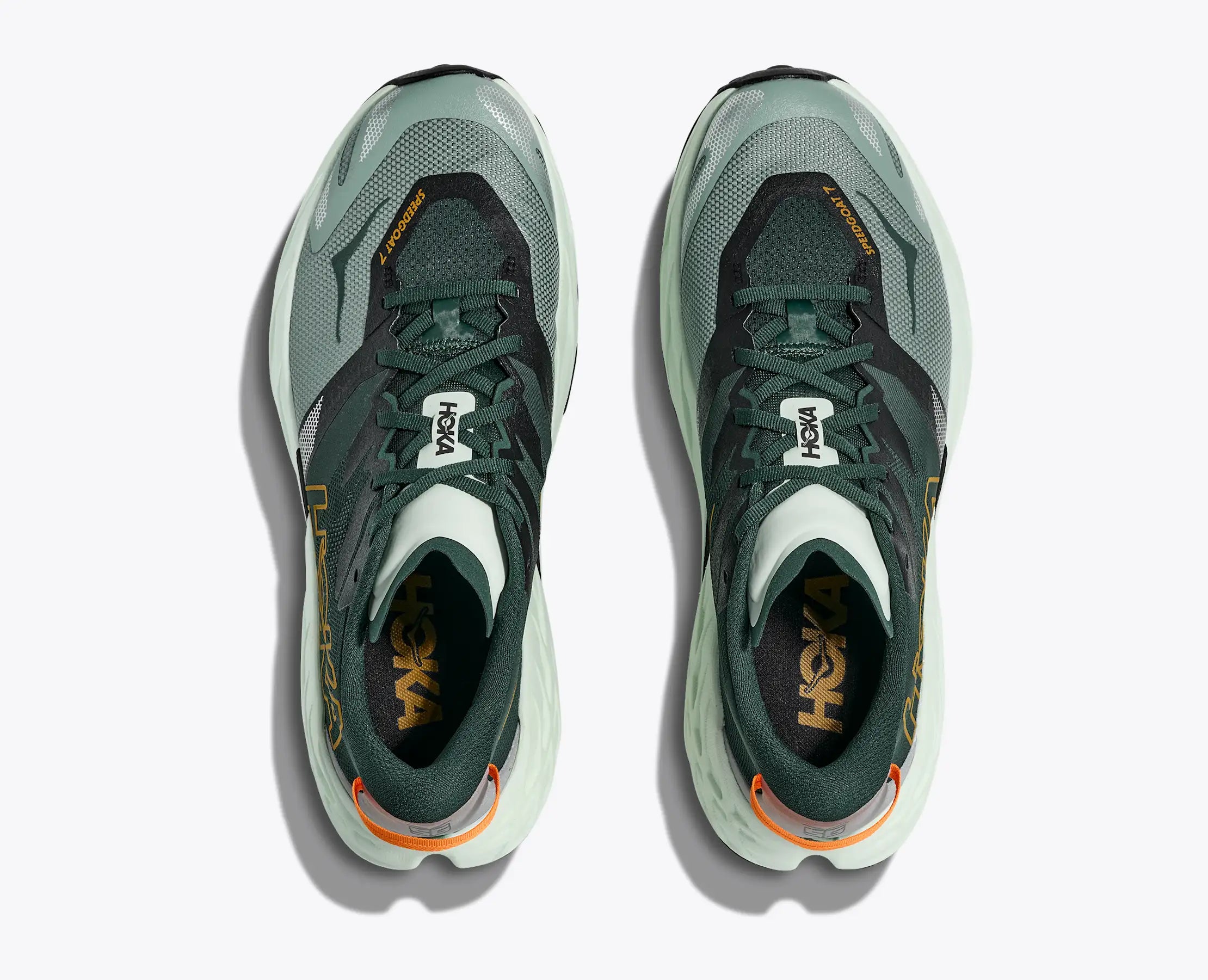 Scarpe Speedgoat 7 Uomo Bay Leaf/Sea Glass