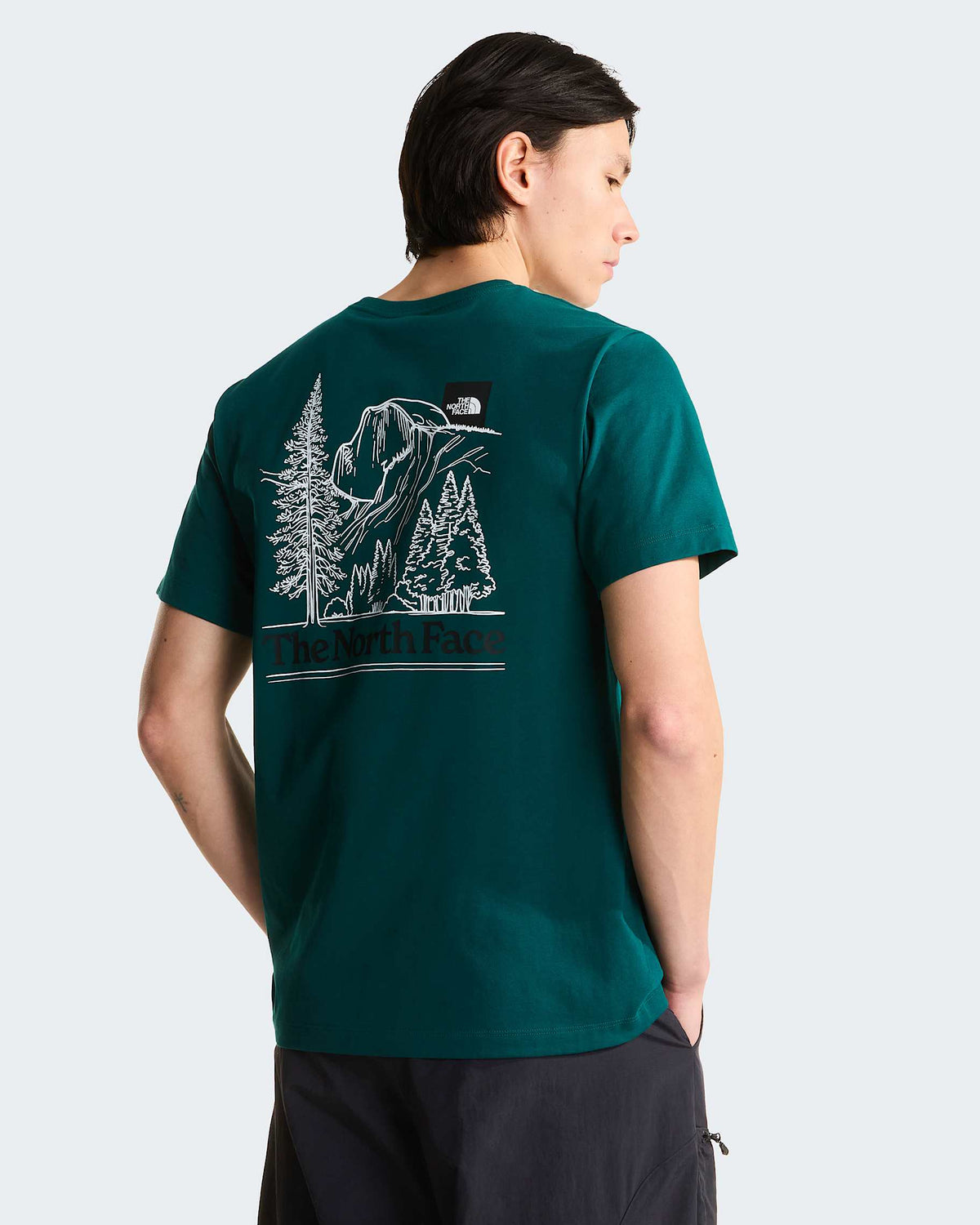 T-shirt Monte Regular Uomo Pacific Teal