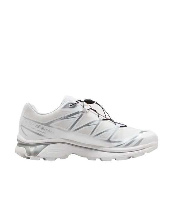 XT-6 GTX Shoes White/White/Silver 