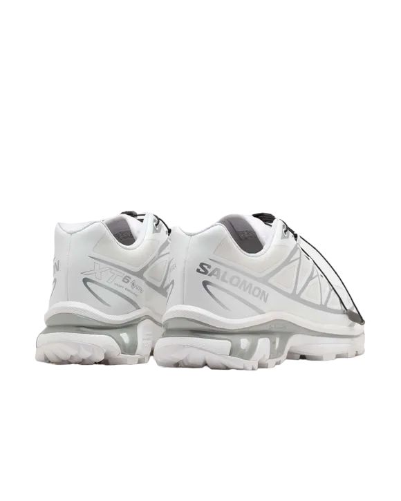 XT-6 GTX Shoes White/White/Silver 