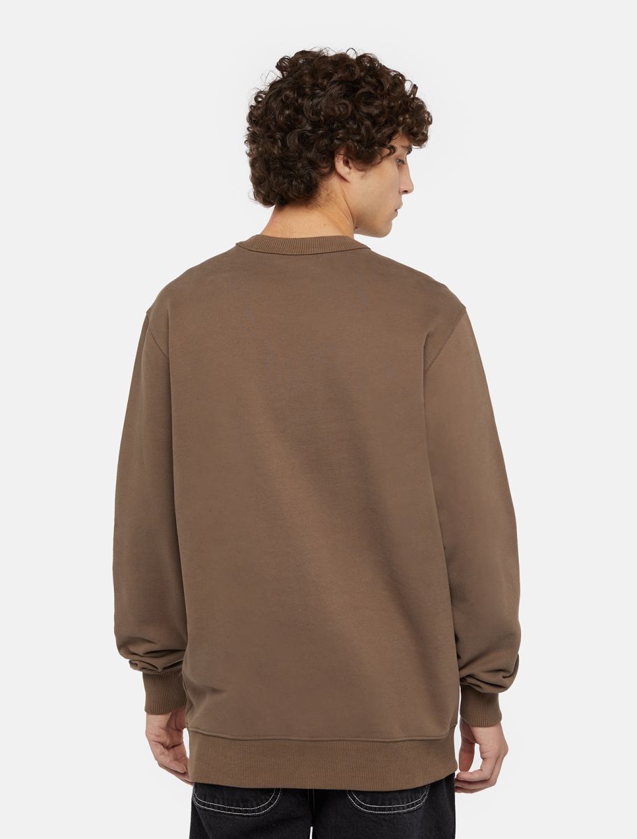 Maglia Aitkin Uomo Brown