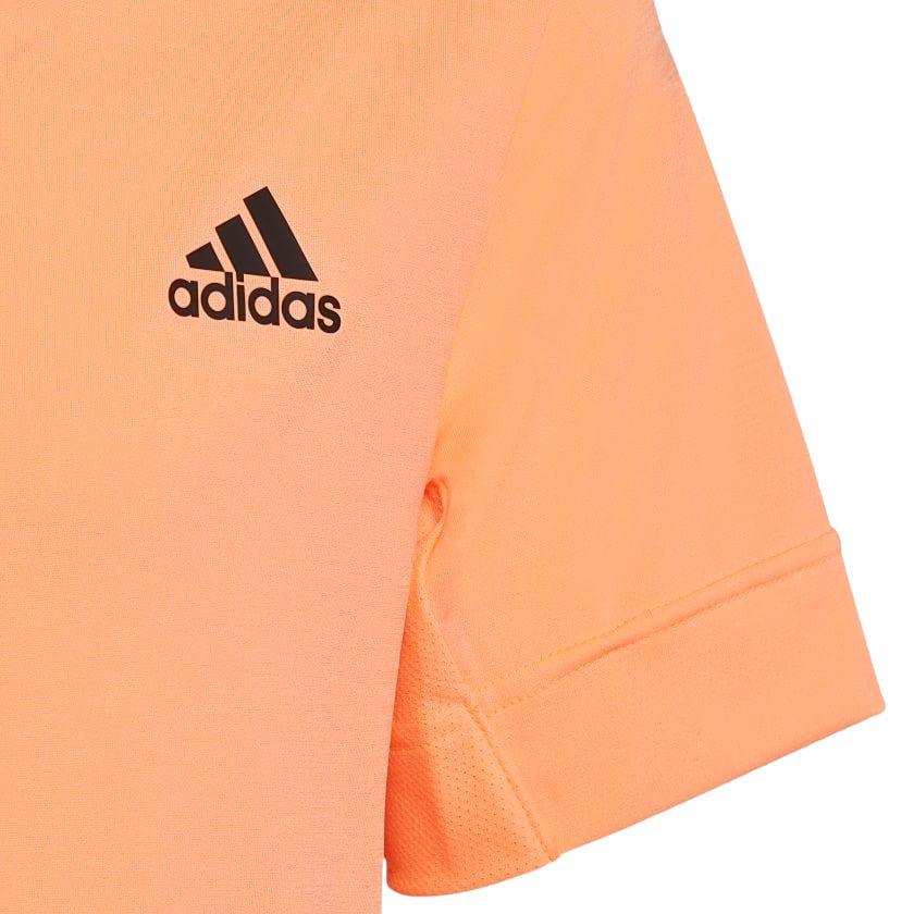 Adidas | T-shirt New York Freelift Donna Beam Orange - Fabbrica Ski Sises